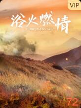 浴火燃情(全集)