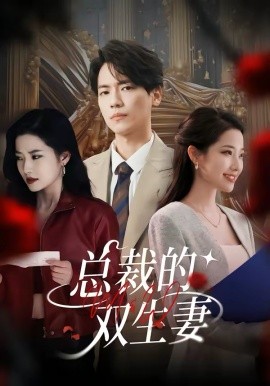 总裁的双生妻 第09集