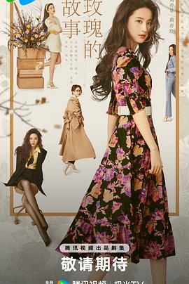 玫瑰的故事 第02集