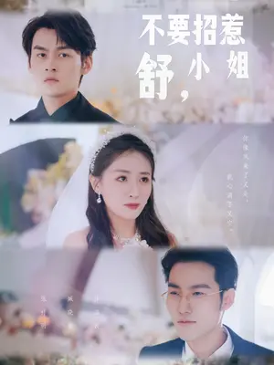 不要招惹舒小姐 21-40集