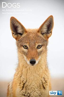 神奇的犬科家族第一季 第01集