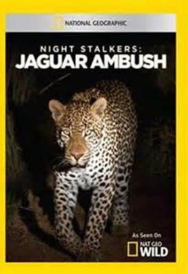 夜行追踪 第01集